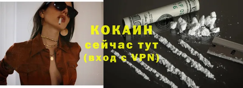 Cocaine FishScale  Рубцовск 