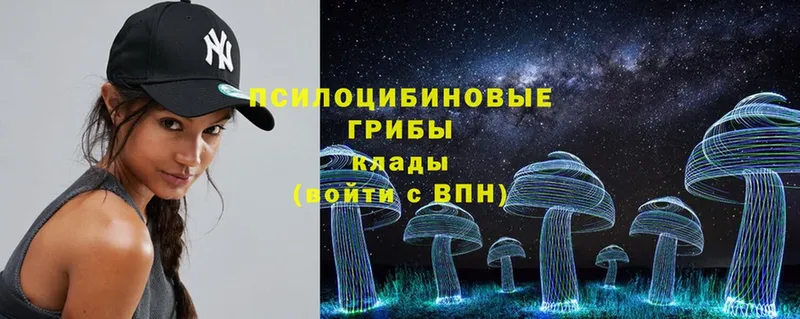 Галлюциногенные грибы Psilocybe  где можно купить   Рубцовск 