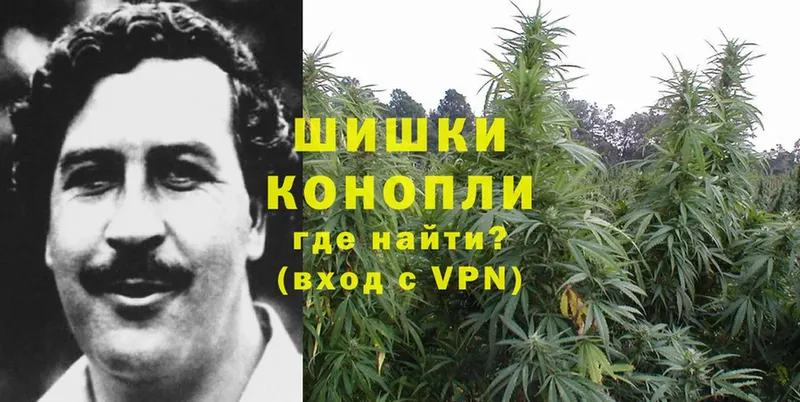 Конопля Ganja  Рубцовск 